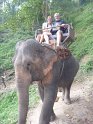 Day 9 - Chiang Mai - Elephant Camp 016